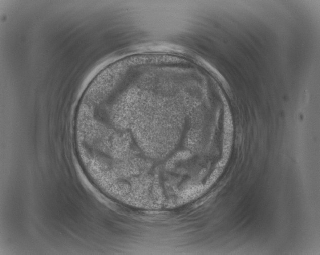 X0000081471483200702092327