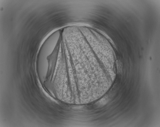 X0000081471484200702092327