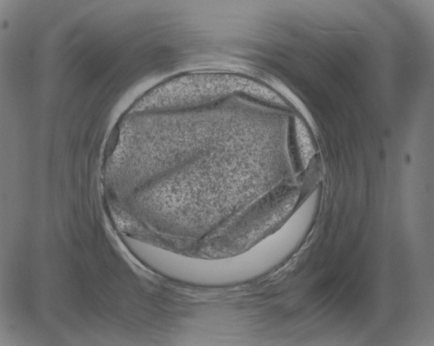 X0000081471485200702092327