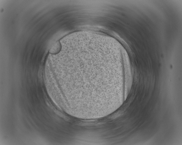 X0000081471486200702092327