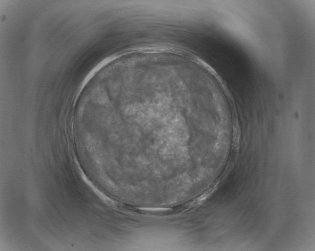 X0000081471487200702092327