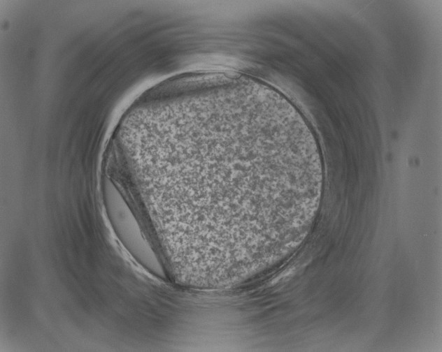 X0000081471488200702092327