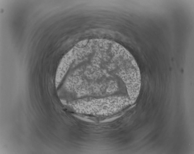 X0000081471489200702092326