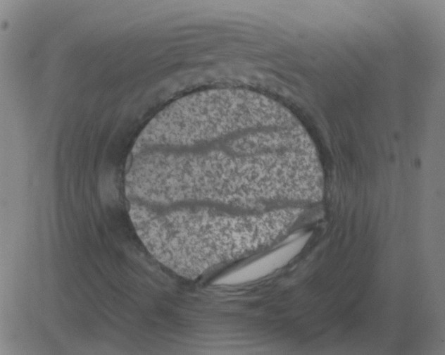 X0000081471490200702092326