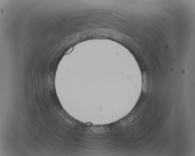 X0000081471491200702092326