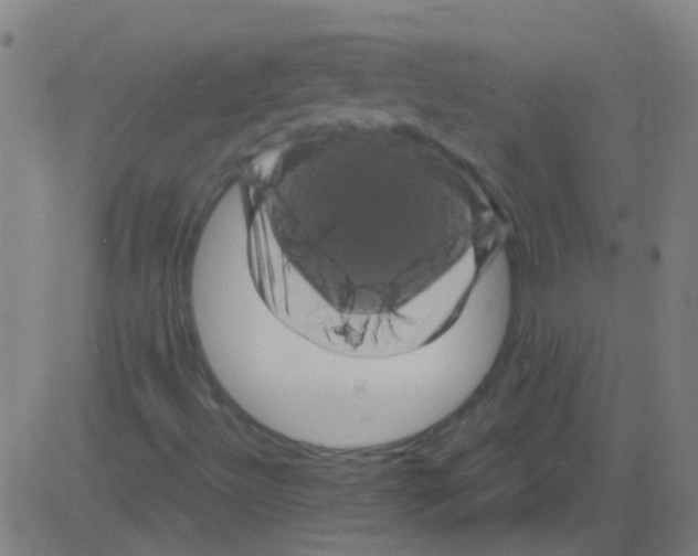 X0000081471492200702092326