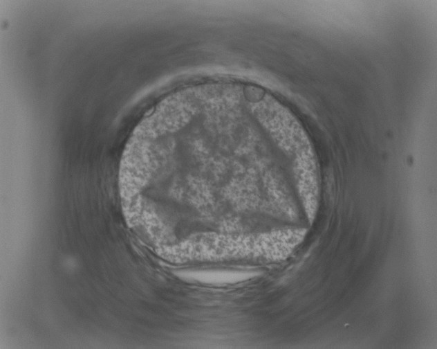 X0000081471494200702092326