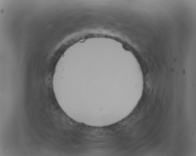 X0000081471495200702092327