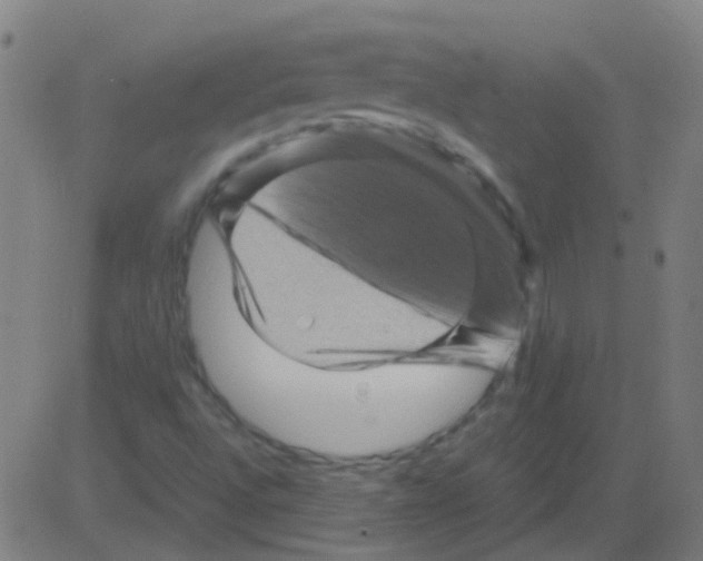 X0000081471496200702092327