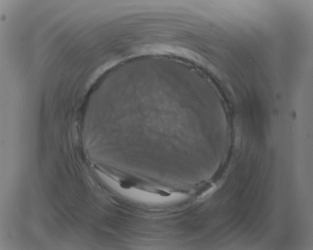 X0000081471497200702092327