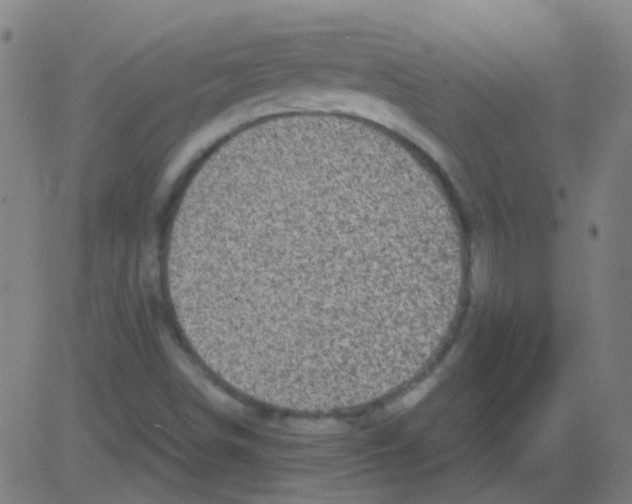 X0000081471498200702092327