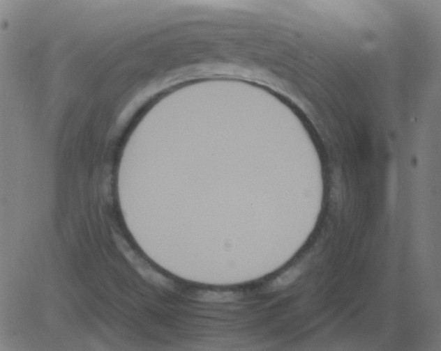 X0000081471499200702092327