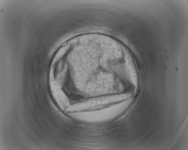 X0000081471500200702092327