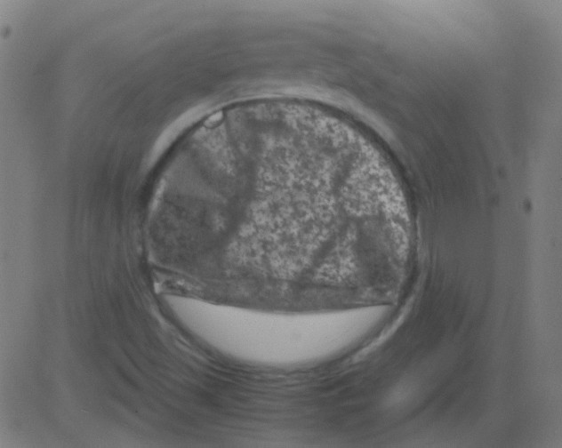 X0000081471501200702092327