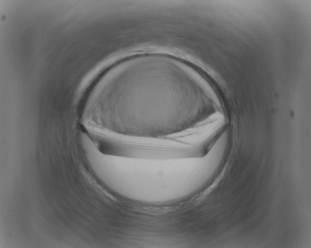 X0000081471502200702092327