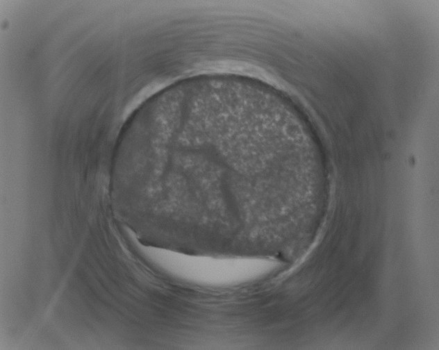 X0000081471505200702092327