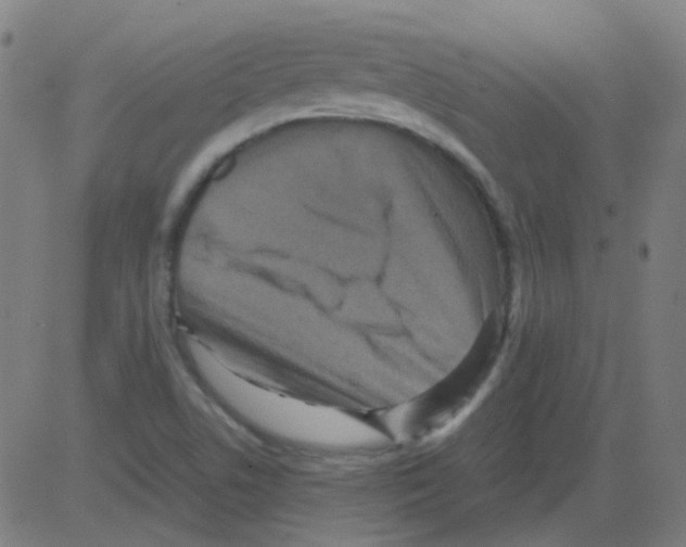 X0000081471506200702092327