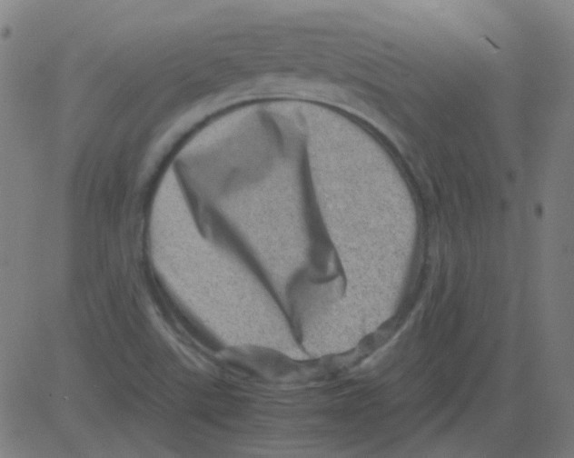 X0000081471507200702092327