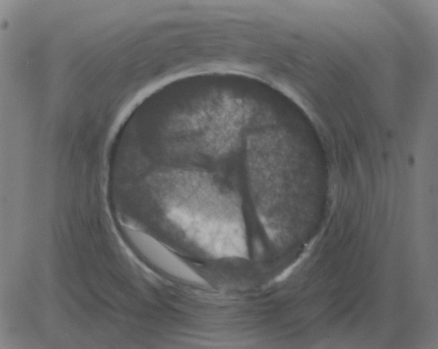 X0000081471508200702092327