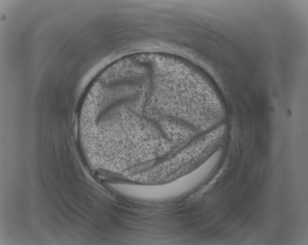 X0000081471509200702092327