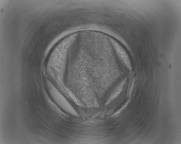 X0000081471510200702092327