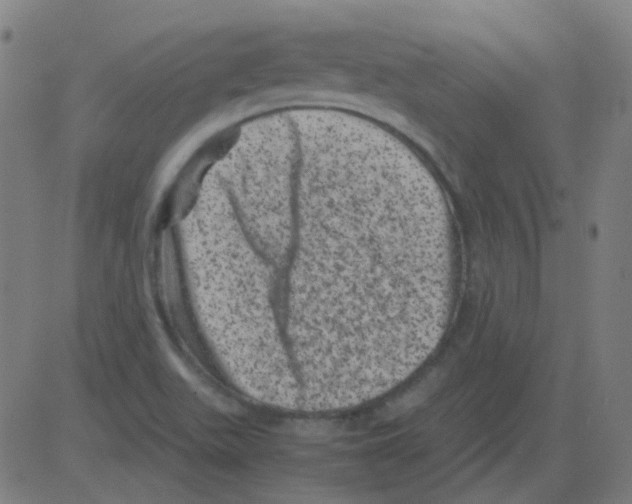 X0000081471511200702092327