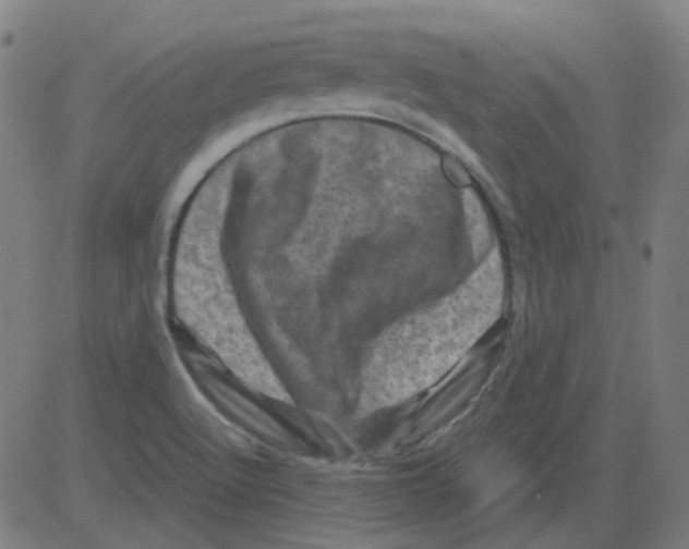 X0000081471512200702092327