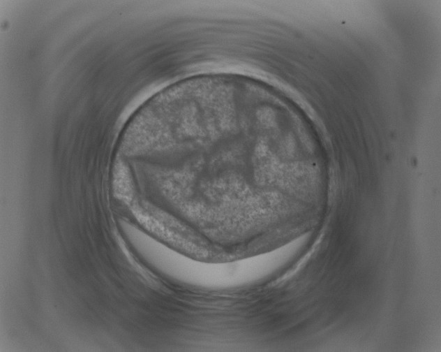 X0000081471513200702092327