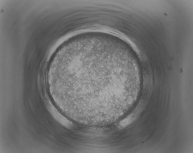 X0000081471514200702092327