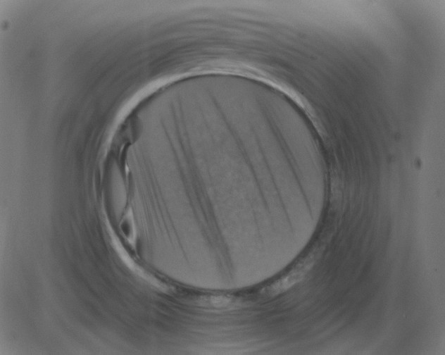 X0000081471515200702092327