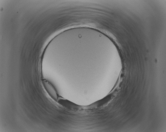 X0000081471516200702092327