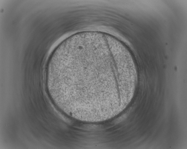 X0000081471517200702092327