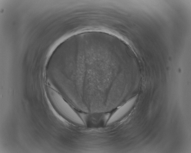 X0000081471519200702092327