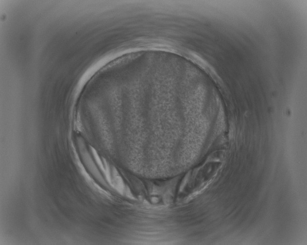 X0000081471520200702092327