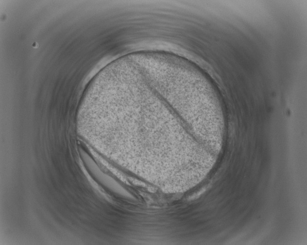 X0000081471521200702092327