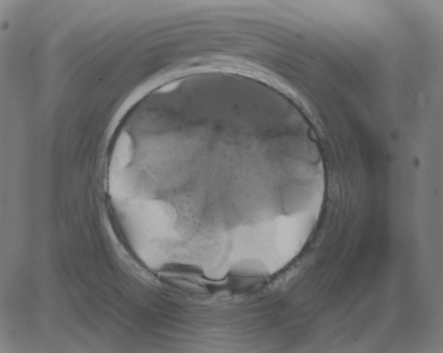 X0000081471522200702092327