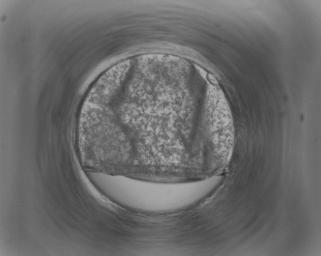 X0000081471523200702092327