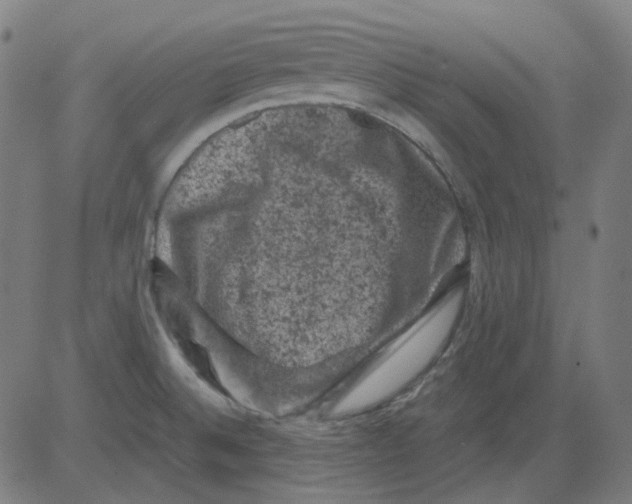 X0000081471524200702092327