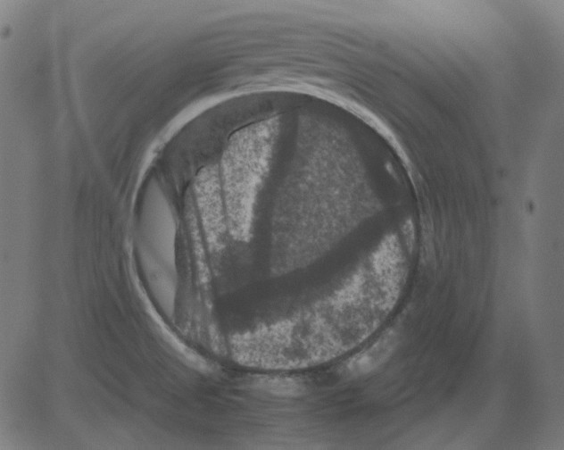 X0000081471525200702092327