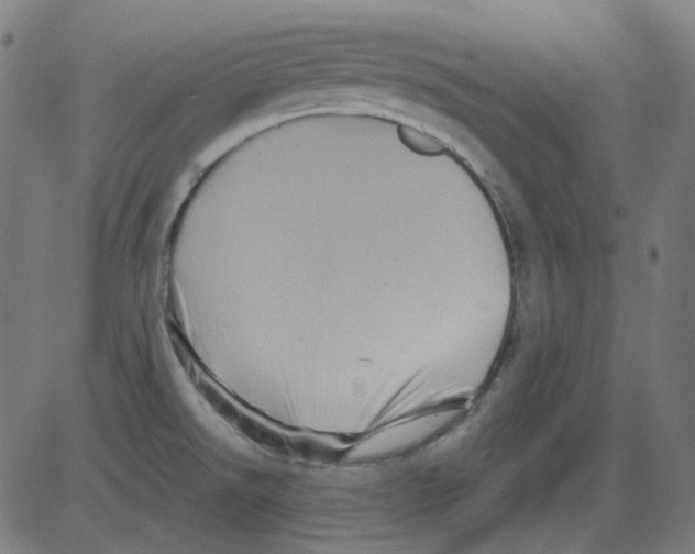 X0000081471526200702092327