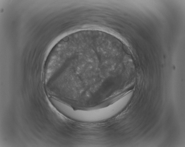 X0000081471527200702092327