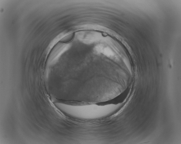 X0000081471529200702092327