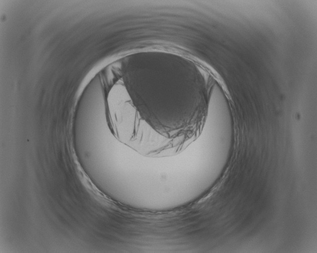 X0000081471530200702092327