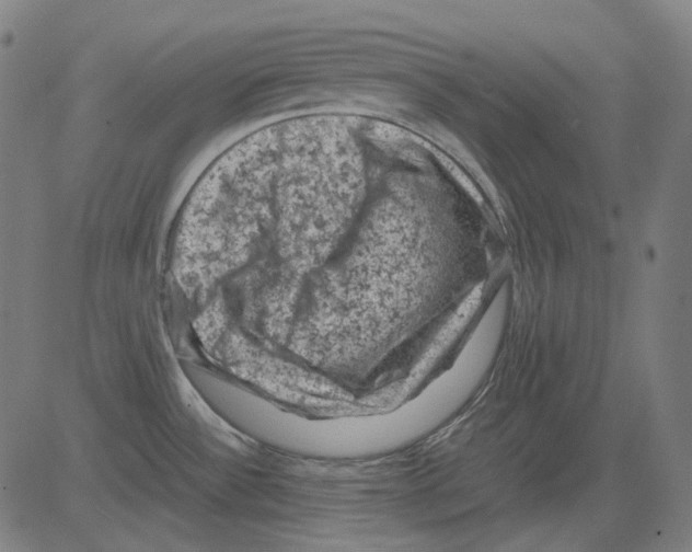 X0000081471532200702092327