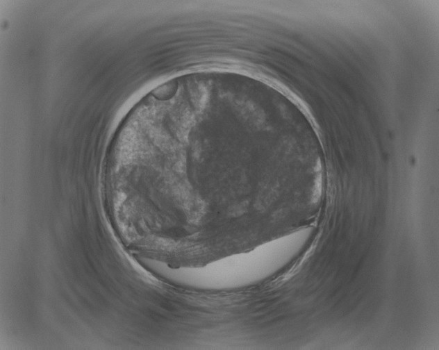 X0000081471533200702092327