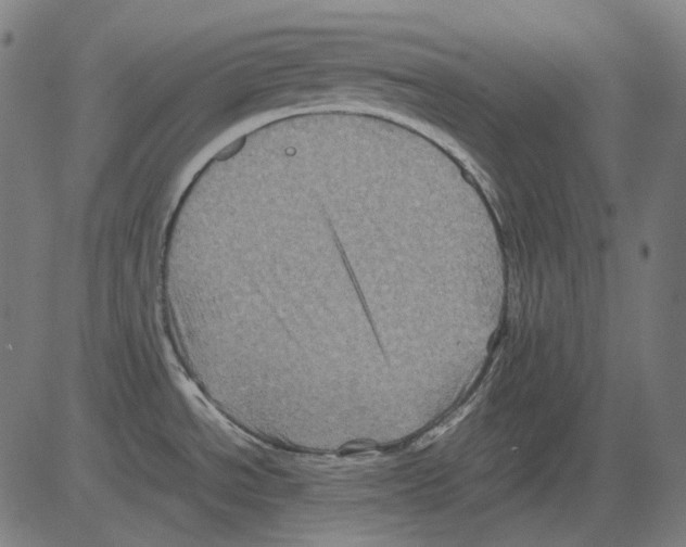 X0000081471534200702092327