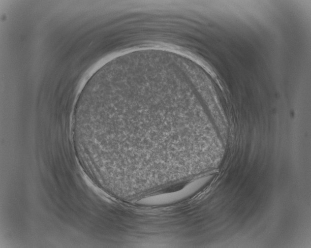 X0000081471535200702092327