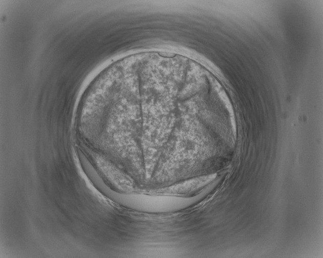 X0000081471536200702092327