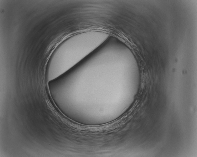 X0000081480002200701121053