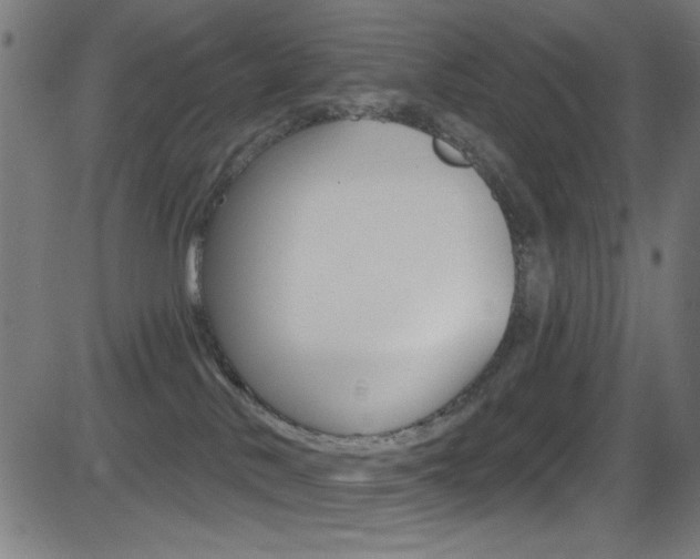 X0000081480042200701121052